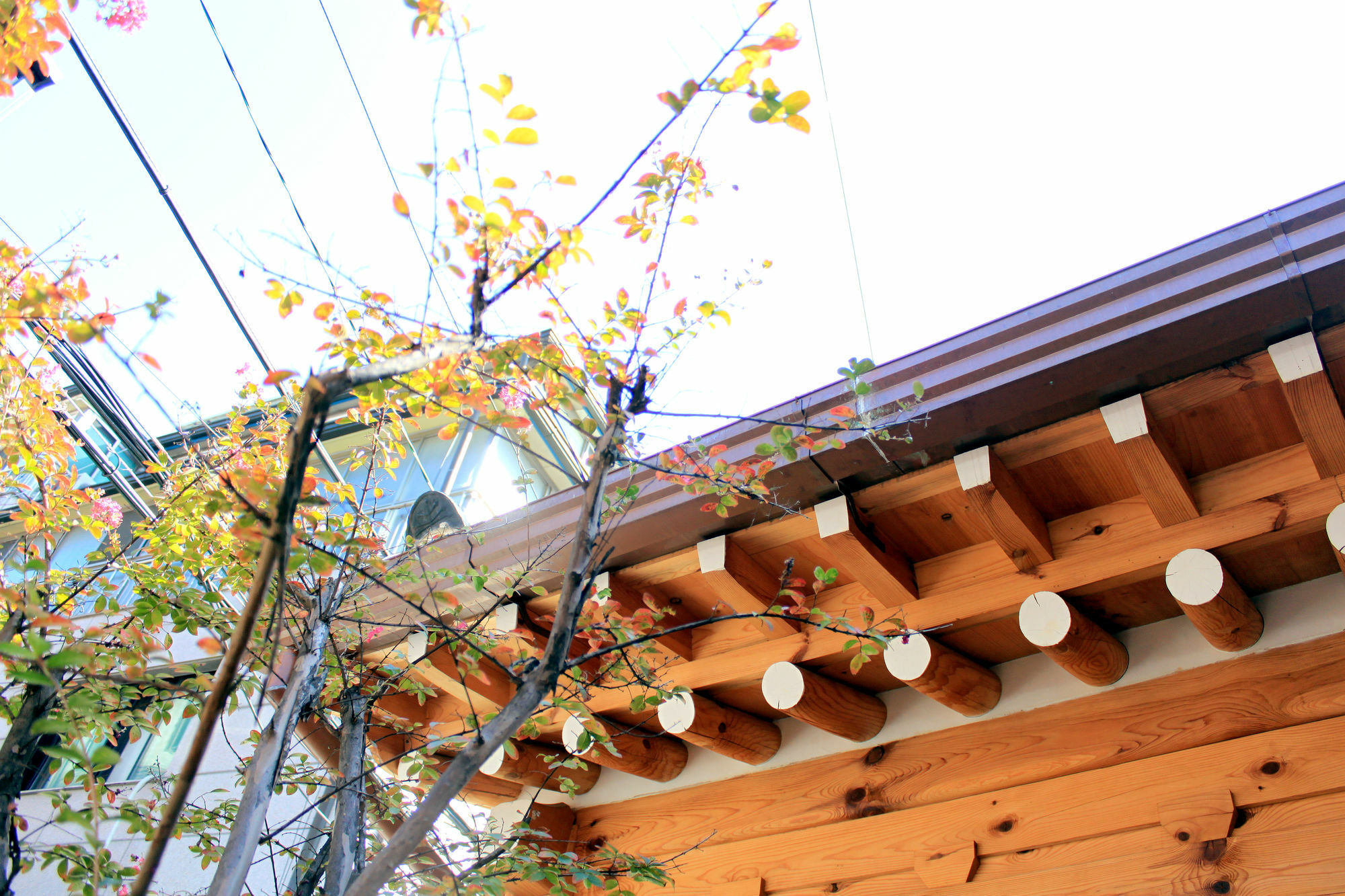 Hanok 24 Guesthouse Gyeongbokgung Seoul Luaran gambar